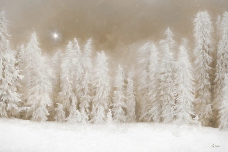 Peaceful Snowscape by Lori Deiter wall art