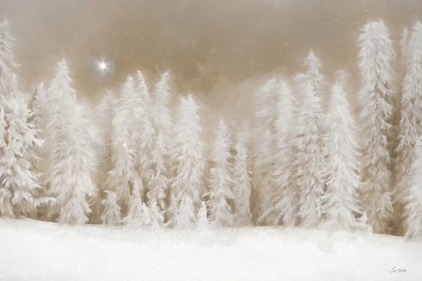 Peaceful Snowscape