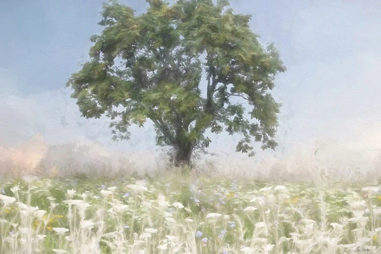 Sweet Summertime by Lori Deiter wall art