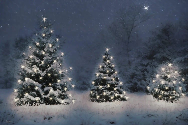 Twinkling Christmas Trees by Lori Deiter wall art