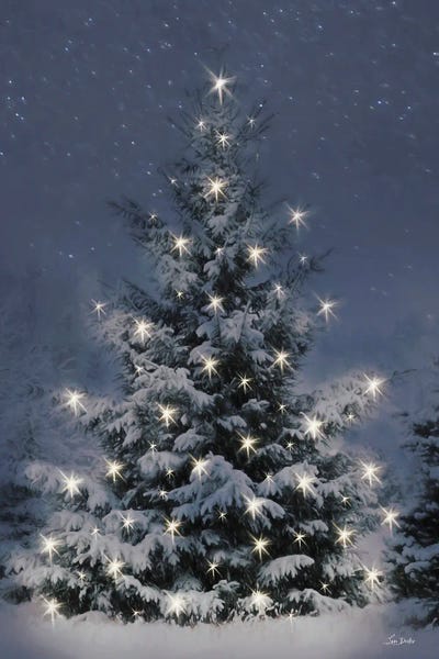 Twinkling Lights at Christmas