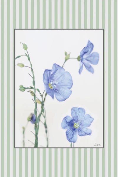 Lori Deiter: Blooms and Birds Set IV by Lori Deiter