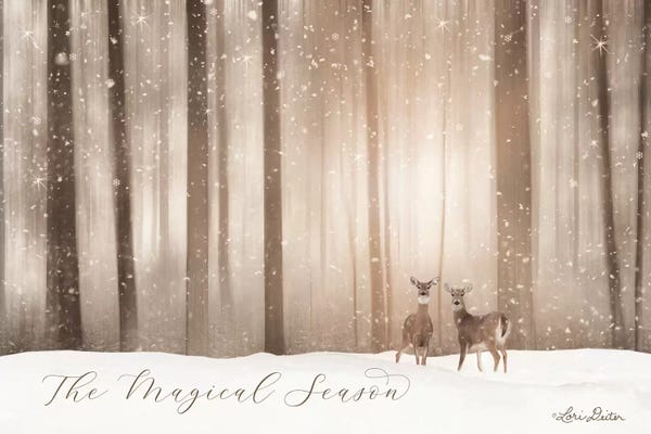 The Magical Season