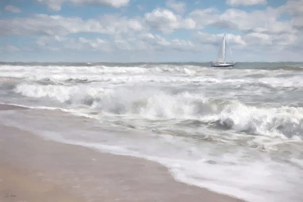 Windswept Shores