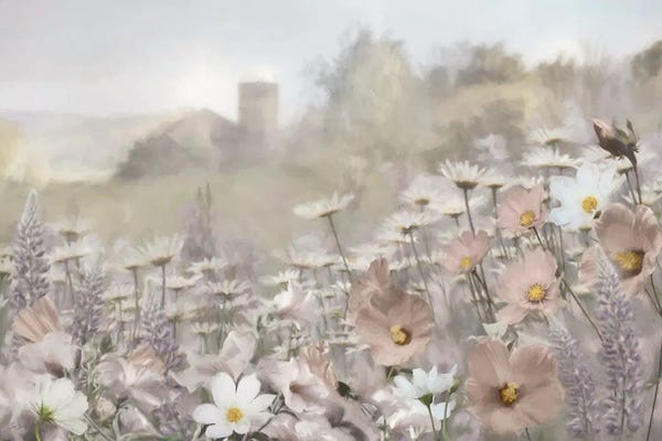 Misty Countryside