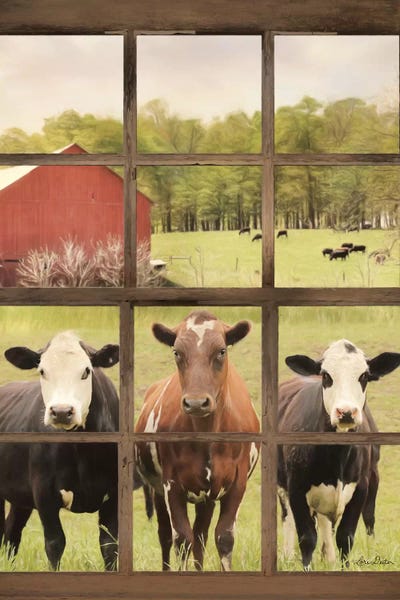 Three Moo View