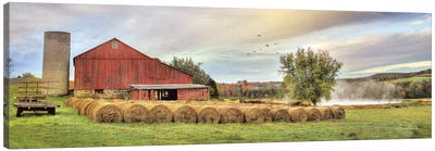 Tioga Hay Bales Canvas Art Print - Country Scenic Photography