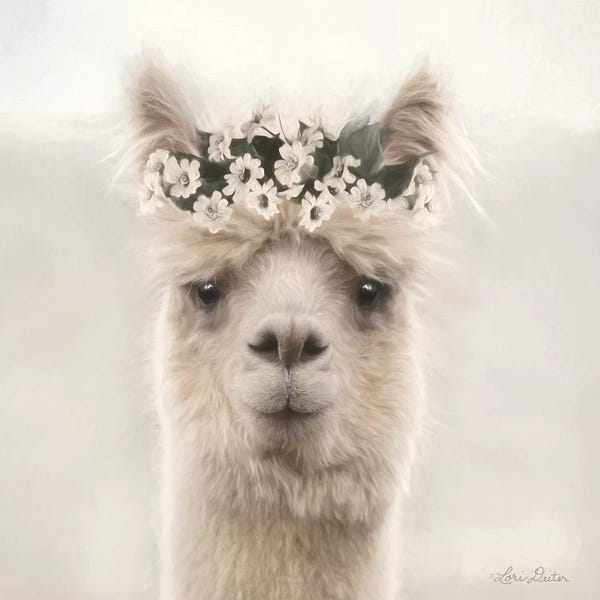 Lori Deiter: Alpaca with Flowers by Lori Deiter