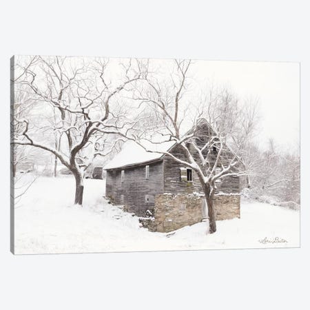 Bare and Cold Canvas Print #LOD78} by Lori Deiter Canvas Art Print