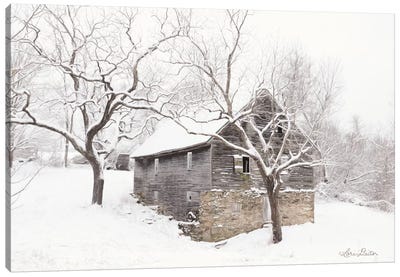 Bare and Cold Canvas Art Print - Country Scenic Photography