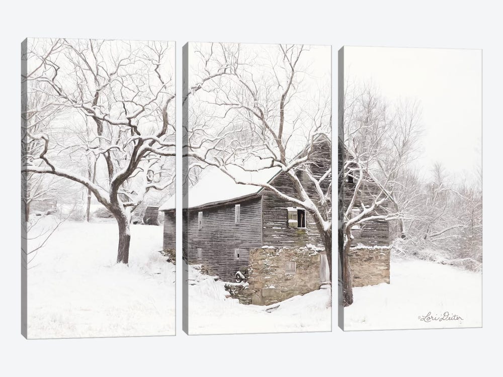 Bare and Cold by Lori Deiter 3-piece Art Print