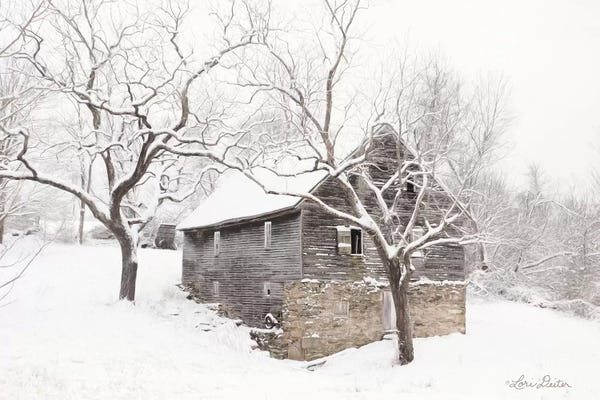 Country: Bare and Cold by Lori Deiter