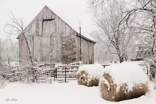 Penny Lane Publishing: Dinner Rolls by Lori Deiter