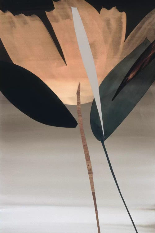 Second Movement I by Lola Abellan wall art