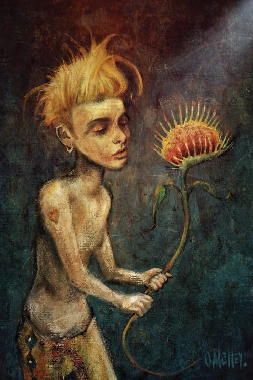 Venus As A Boy by Leith O'Malley wall art