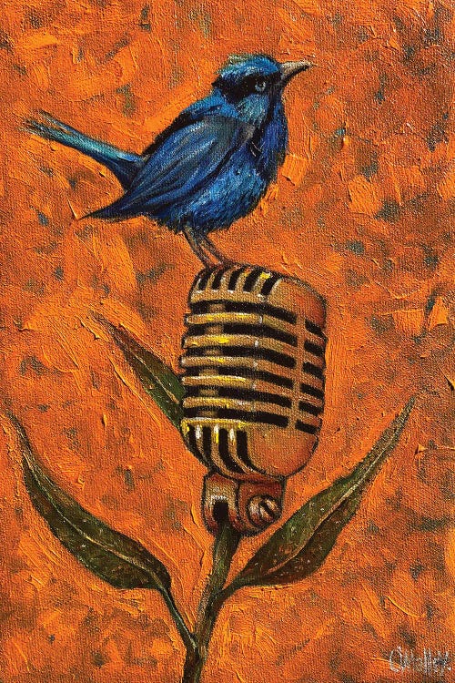 Blue Wren by Leith O'Malley wall art