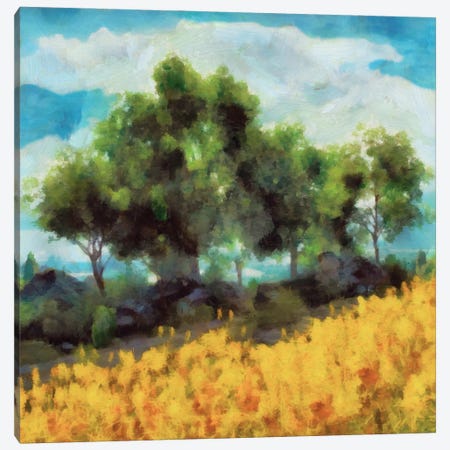 Mellow Yellow Landscape II Canvas Print #LON170} by Alonzo Saunders Canvas Artwork