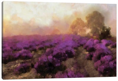 Purple Countryside I Canvas Art Print - Alonzo Saunders
