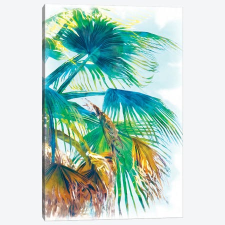 Tropical Glow I Canvas Print #LON197} by Alonzo Saunders Canvas Art Print