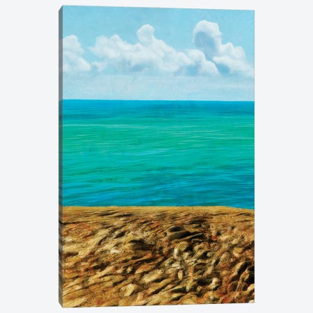Rocky Beachside I Canvas Print #LON226} by Alonzo Saunders Canvas Art Print