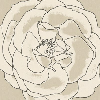 Beige Blooms II by Alonzo Saunders acrylic art print