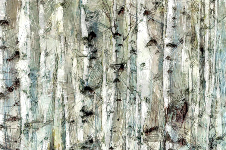 Birch Bunch II