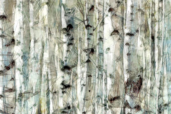 Birch Trees: Birch Bunch II by Alonzo Saunders