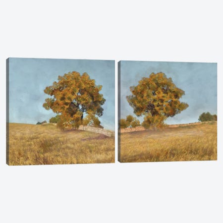 Autumn's Tranquility Diptych Canvas Print Set #LON2HSET002} by Alonzo Saunders Canvas Art Print