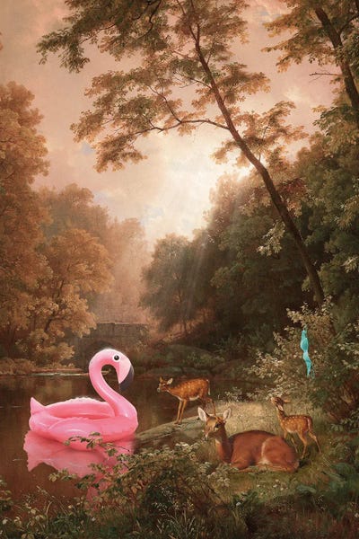 Flamingos: When The Bathers Are Gone by Jonas Loose