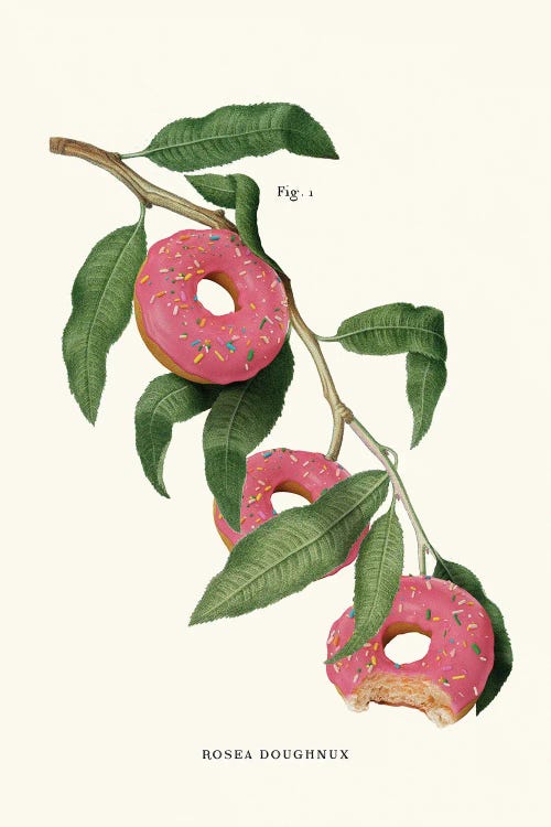 Donut Plant by Jonas Loose canvas print