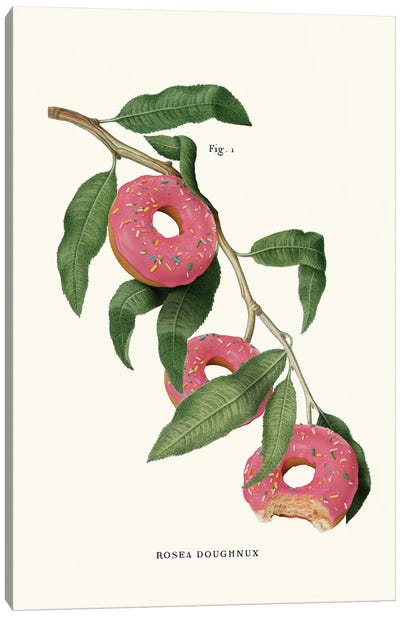 Donut Plant Canvas Art Print - Sweets & Dessert Art