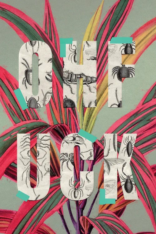 Ohfuck by Jonas Loose wall art