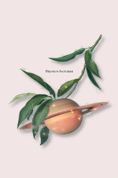 Astronomy & Space: Saturn Fruit by Jonas Loose