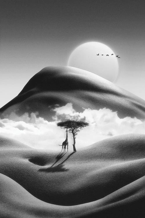 Kilimandscharo by Jonas Loose wall art