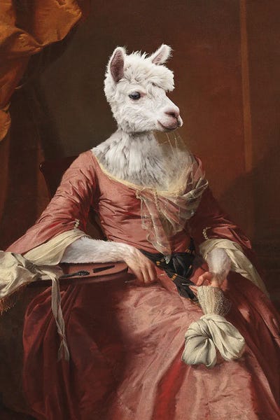 Lady Alpaca by Jonas Loose canvas print