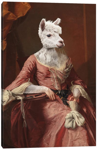 Lady Alpaca Canvas Art Print