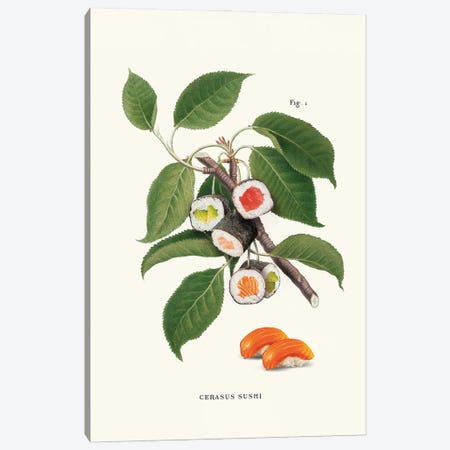 Sushi Plant Canvas Print #LOO117} by Jonas Loose Canvas Artwork