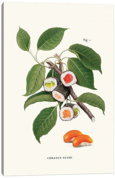 Sushi Plant Canvas Art Print - Art Worth a Chuckle