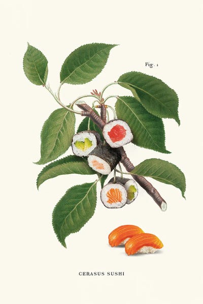 Kitchen: Sushi Plant by Jonas Loose