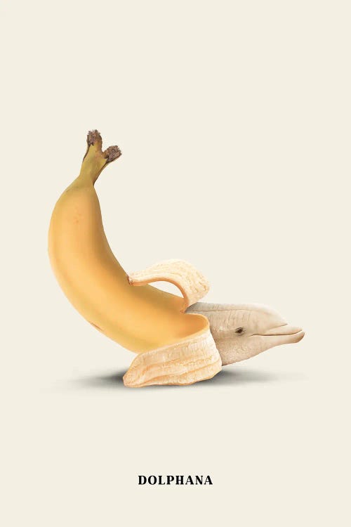 Dolphana by Jonas Loose wall art