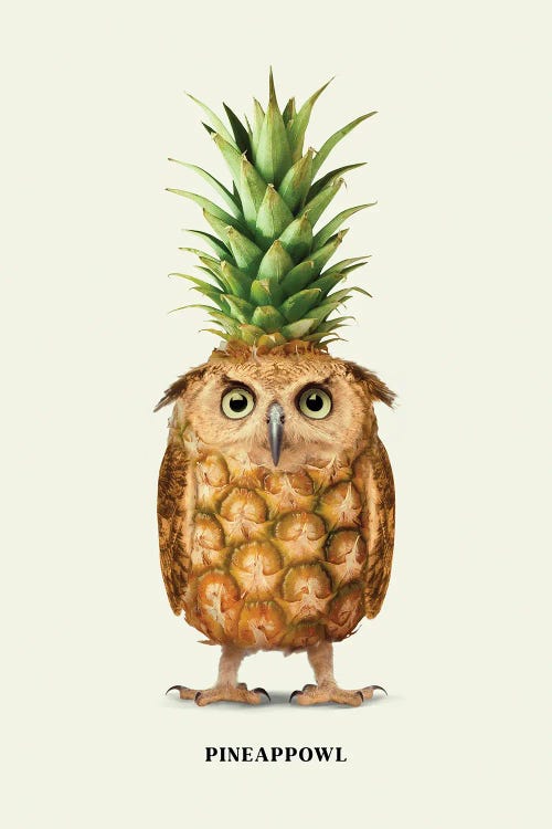 Pineappowl by Jonas Loose wall art