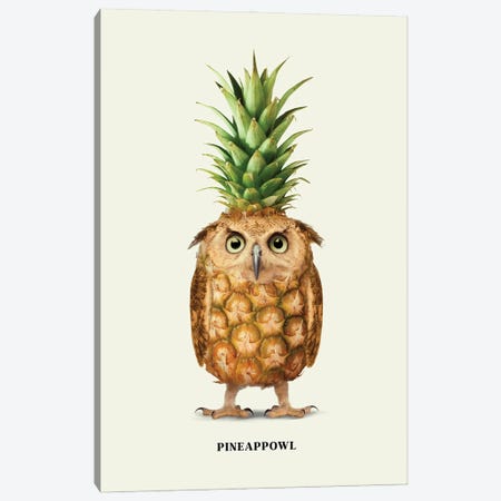 Pineappowl Canvas Print #LOO125} by Jonas Loose Canvas Print
