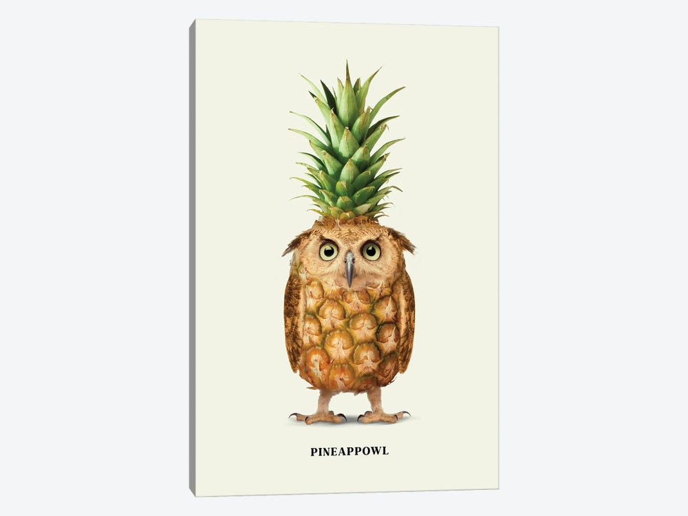 Pineappowl by Jonas Loose 1-piece Canvas Art Print