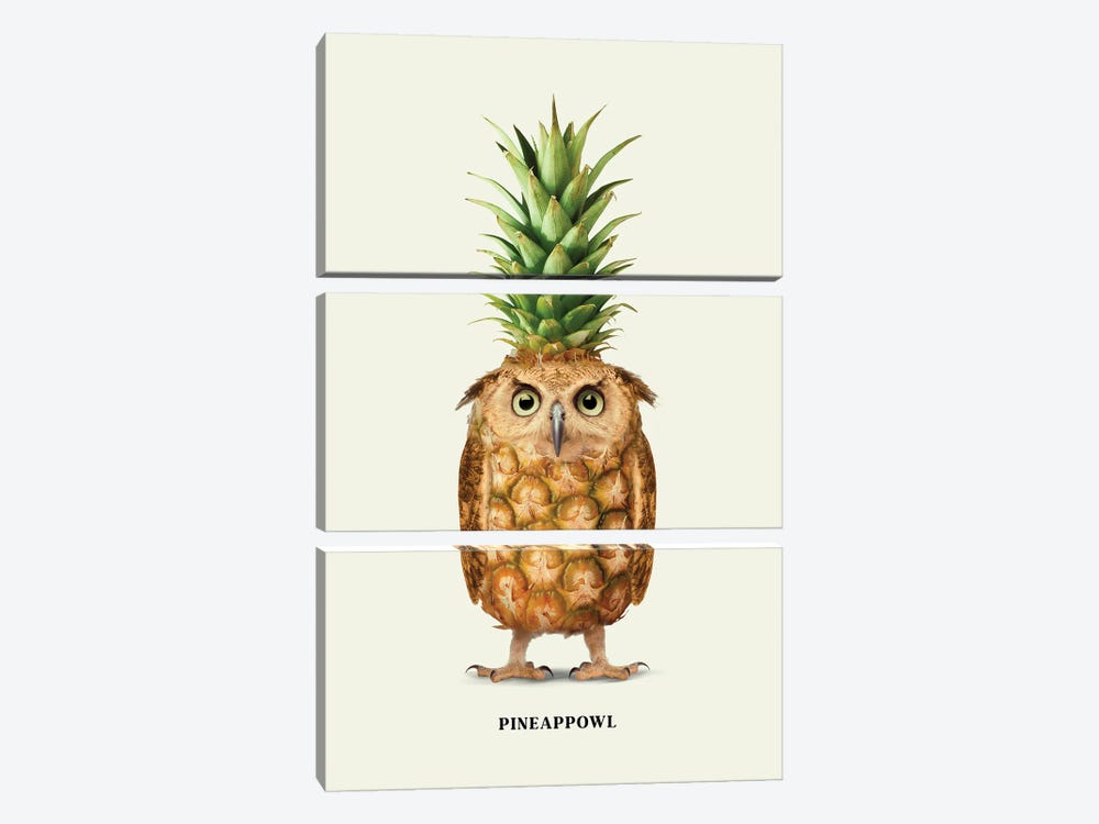 Pineappowl by Jonas Loose 3-piece Canvas Art Print
