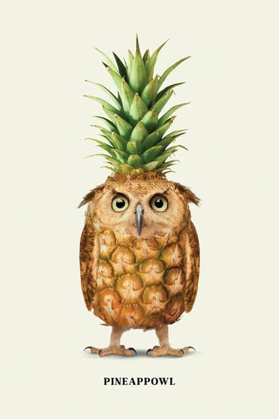 Kitchen: Pineappowl by Jonas Loose
