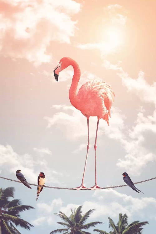 Flamingo & Friends by Jonas Loose wall art