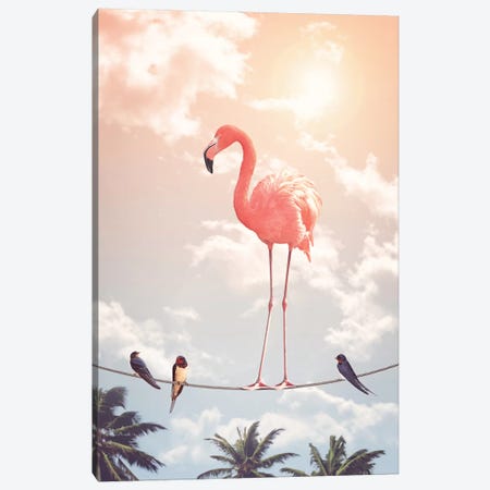 Flamingo & Friends Canvas Print #LOO12} by Jonas Loose Canvas Wall Art