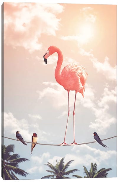 Flamingo & Friends Canvas Art Print - Birds On A Wire