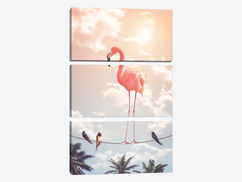 Flamingo & Friends by Jonas Loose 3-piece Canvas Art