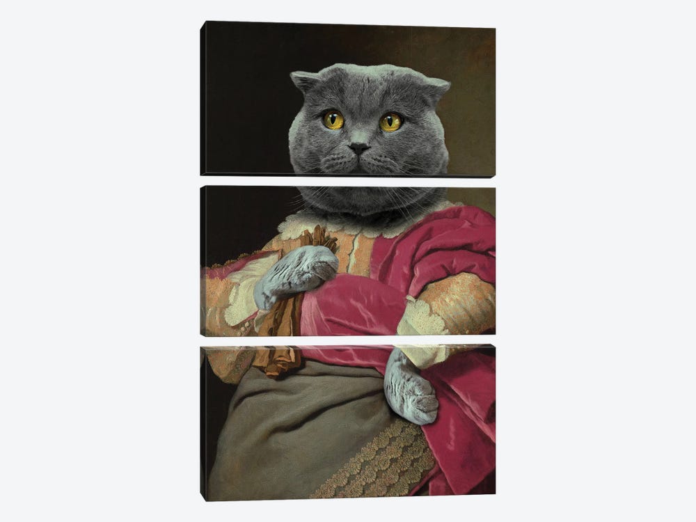 Lord Kittens by Jonas Loose 3-piece Canvas Art Print